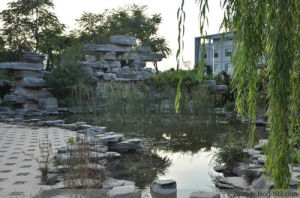 辛莊村[山東省濟南市歷城區孫村鎮辛莊村]