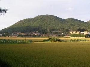 雅口子村