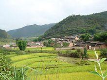 新田村[雲南省大姚縣三岔河鄉新田村]