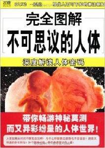 不可思議的人體