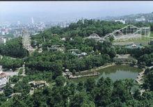 東山公園美景