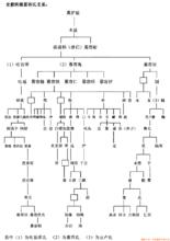 五燕慕容宗譜圖