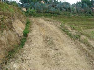 進村道路