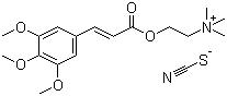 分子結構圖