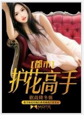 都市護花高手[磨鐵中文網小說]