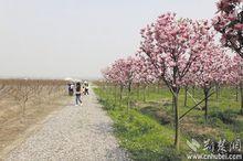 園林街道[湖北省潛江市園林街道]