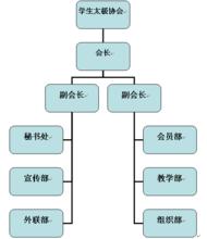 協會組織結構圖