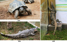 西霞口野生動物園