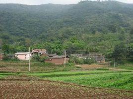 上林村[廣東省陸豐市碣石鎮上林村]