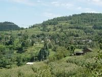 窩坑寨自然村 窩坑寨自然村