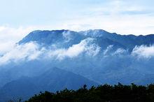 黃袍山林海