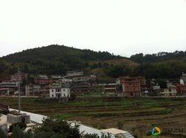 山後村[雲南宜良縣湯池鎮下轄村]