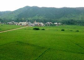 南山村[貴州省遵義市紅花崗區南關鎮南山村]