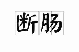 斷腸[漢語詞語]