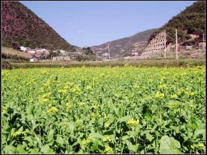 水田平地村