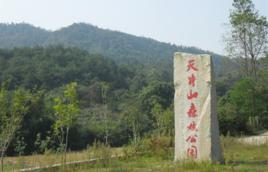 天井山森林公園[湖南省岳陽市君山區天井山森林公園]