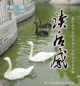 讀後感[電子半月刊雜誌]