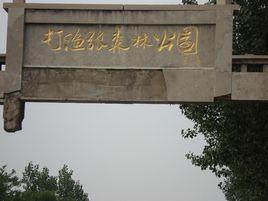 打漁張森林公園