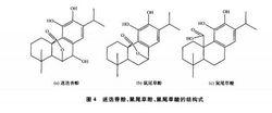 迷 迭 香 酚 、鼠尾 草 酚 、鼠尾 草 酸 的結 構 式