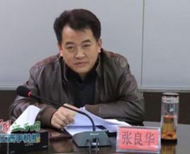 張良華[江西省景德市人民政府副市長]