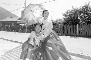 《海蘭江畔稻花香》