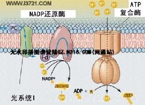 機械工程