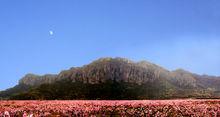 天台縣後岸村