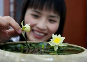 海爾芙拉