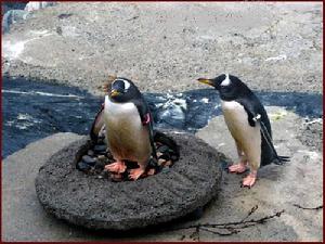 卑爾根水族館