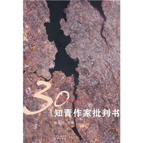 30知青作家批判書