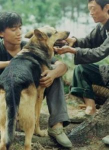 《那山、那人、那狗》