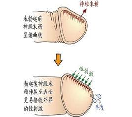 射精延遲