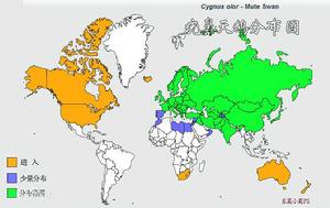 疣鼻天鵝分布圖
