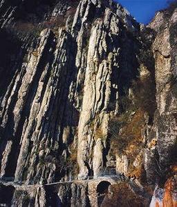 中嶽村[福建省莆田市仙遊縣度尾鎮下轄村]