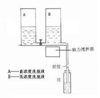 梯度洗脫