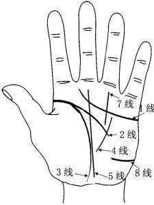 掌紋示意圖