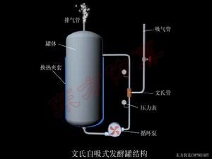 自吸式發酵罐