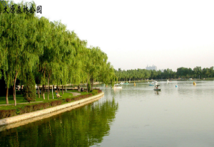 太原森林公園