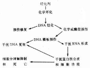 芥子氣王牌