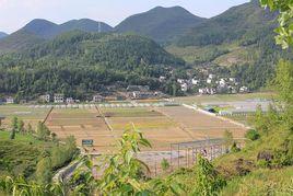 黃龍村[浙江省麗水市五雲鎮黃龍村]