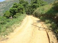 莫舍白村進村道路