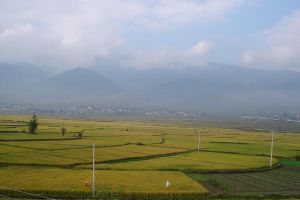 鳳河村