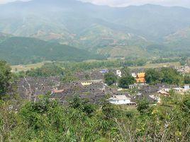 勐板村[雲南省勐海縣打洛鎮勐板村]