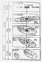 圖2 五種下擊暴流型模