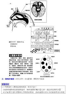 嗅覺