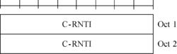 圖11  C-RNTI MAC控制單元