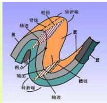 褶皺樞紐