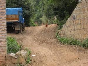 普舍村的道路