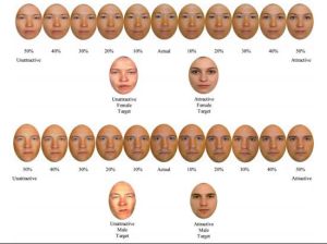 研究者把參與者的面部融合到具有理想魅力的面孔和毫無魅力的面孔之中，變化的間隔為10%。