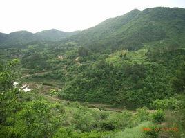 門山村[湖北省黃岡市黃梅縣大河鎮門山村]